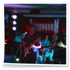 SMUSHROOM Konzert | Yolo Taost Bar, Augsburg 02 2024
